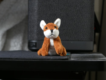 Unnamed 49 (Red Fox, Little living nature)